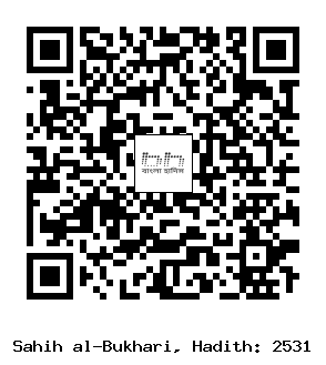 Hadith QR
