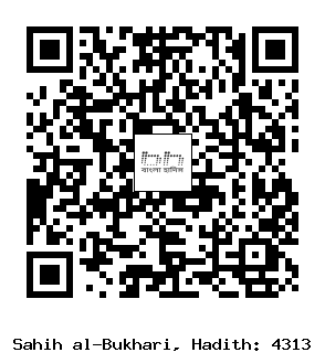 Hadith QR