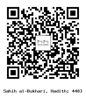 Hadith QR