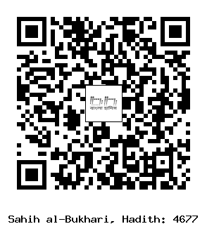 Hadith QR