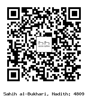 Hadith QR
