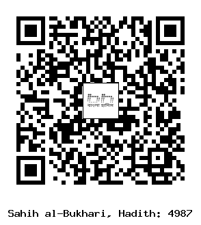 Hadith QR