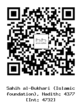 Hadith QR